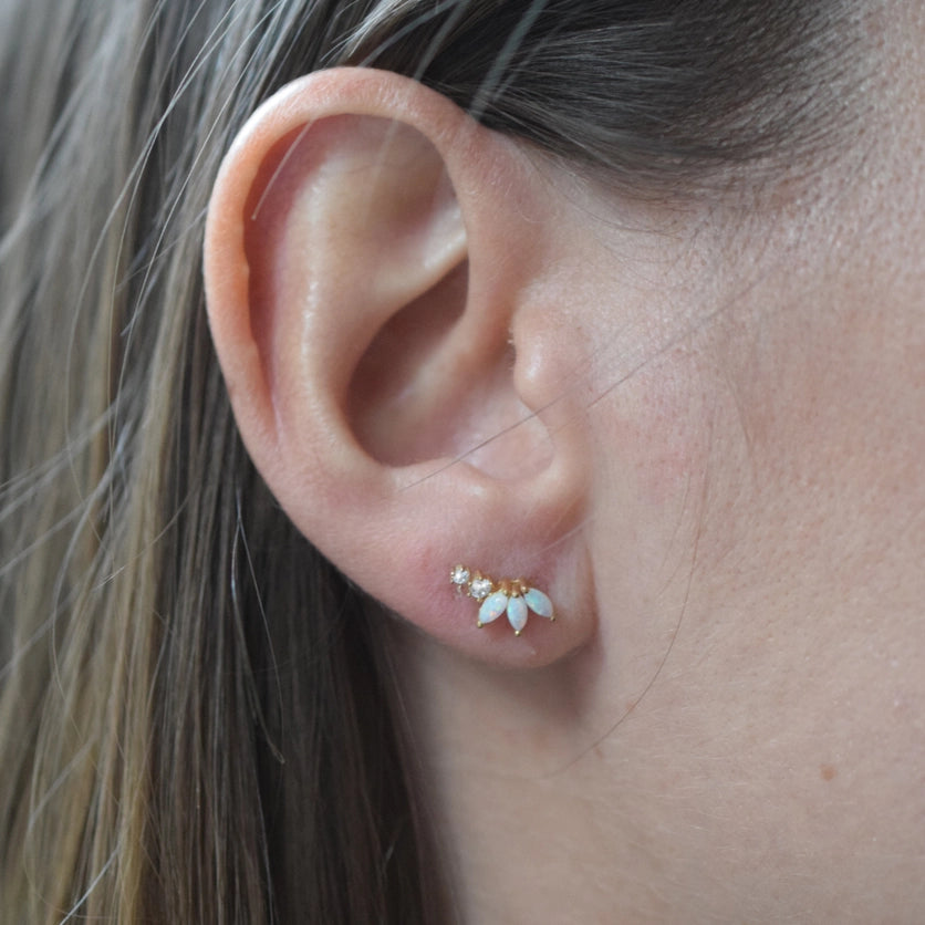 Aurora Crown Climbers