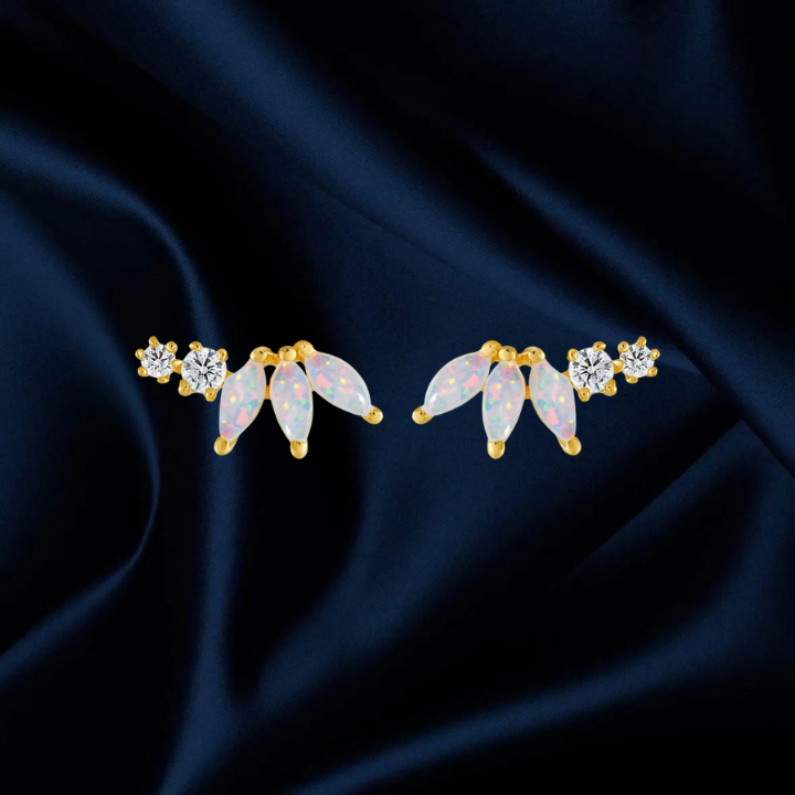 Aurora Crown Climbers