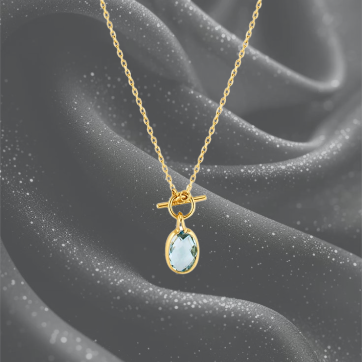 Faceted Skye Toggle Necklace